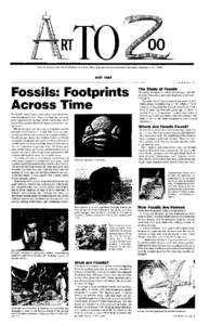 Fossils: Footprints Across Time