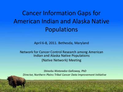 Cancer Information Gaps for American Indian and Alaska Native Populations: