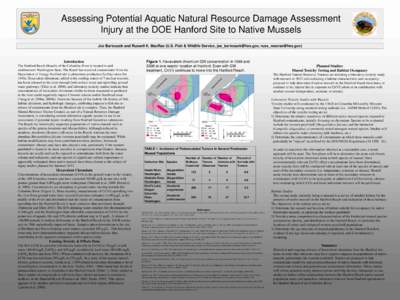 Assessing Potential Aquatic Natural Resource Damage Assessment Injury at the DOE Hanford Site to Native Mussels Joe Bartoszek and Russell K. MacRae (U.S. Fish & Wildlife Service, [removed], [removed]