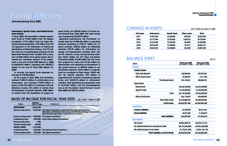 Financial Review  Activities during Fiscal 2005 Financial Review