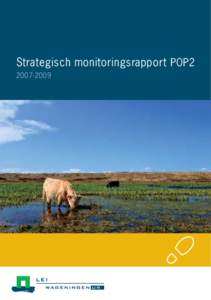 Strategisch monitoringsrapport POP2; 