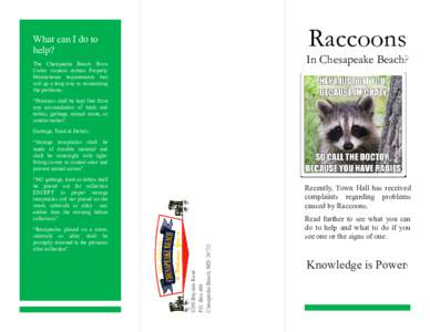 Veterinary medicine / Medicine / Anthrozoology / Street furniture / Procyonidae / Raccoon / Scavengers / Calvert County /  Maryland / Rabies / Waste container / Chesapeake Beach /  Maryland