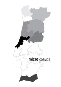 micro COSMOS  Continuo a mapear, no escuro. O projecto cresce, torna-se vísivel, e cresce com ele a vontade de continuar a encontrar microcosmos representativos de algumas essências de cada província portuguesa.