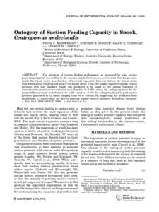JOURNAL OF EXPERIMENTAL ZOOLOGY 305A:246–[removed]Ontogeny of Suction Feeding Capacity in Snook, Centropomus undecimalis PETER C. WAINWRIGHT1, STEPHEN H. HUSKEY2, RALPH G. TURINGAN3, 1