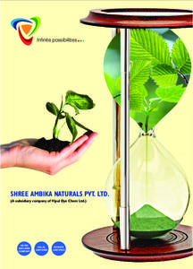 Infinite possibilities  SHREE AMBIKA NATURALS PVT. LTD. (A subsidiary company of Vipul Dye Chem Ltd.)  AN ISO