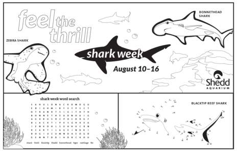 MKT1437_Shark_Week_Activity_Sheet_R2