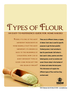 199469wfc web flour booklet.ai