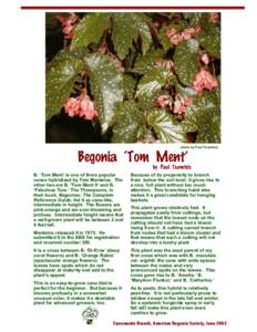 photo by Paul Tsamtsis  Begonia ‘Tom Ment’ by Paul Tsamtsis B. ‘Tom Ment’ is one of three popular canes hybridized by Tom Mentelos. The