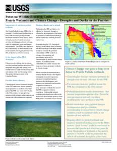 Patuxent Wildlife Research Center Prairie Wetlands and Climate Change - Droughts and Ducks on the Prairies Importance of northern prairie wetlands The Prairie Pothole Region (PPR) (Fig. 1) contains 5-8 million small wetl