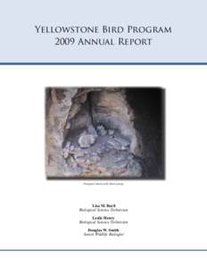 Yellowstone Bird Program 2009 Annual Report Peregrine falcon with three young  Lisa M. Baril