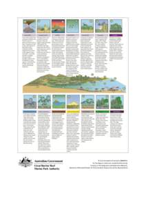 © Commonwealth of Australia (GBRMPA) for the diagram which was created by Paul Groves Courtesy of the Integration and Application Network, University of Maryland Center for Environmental Science (ian.umces.edu/symbols/)