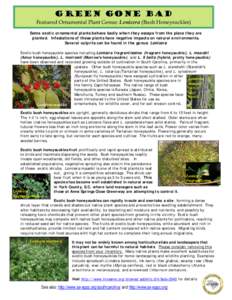 Shrubs / Dipsacales / Biology / Invasive plant species / Flora / Diervilla / Lonicera fragrantissima / Lonicera morrowii / Lonicera xylosteum / Lonicera / Botany / Honeysuckle
