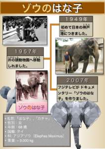   ゾウのはな子    １９４９年 こうべ 初めて日本の神戸 みなと