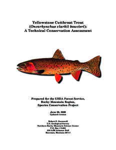 Greater Yellowstone Ecosystem / Yellowstone / Yellowstone cutthroat trout / Cutthroat trout / Fishing in the United States / Yellowstone National Park / Shoshone National Forest / Yellowstone River / Grand Teton National Park / Oncorhynchus / Fish / Wyoming