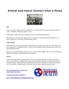 Household chemicals / Pet / Insect repellent / Mosquito / Insect / Pet Emergency Management / Dog flea / Phyla / Protostome / Zoology