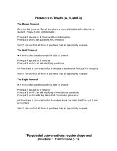 Microsoft Word - #4 Protocols in Triads.doc