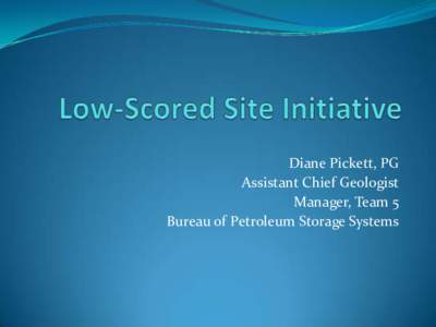 Diane Pickett, PG Assistant Chief Geologist Manager, Team 5 Bureau of Petroleum Storage Systems  REQUIREMENTS