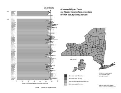 59th New York State Legislature / New York / Transportation in New York / Vehicle registration plates of New York