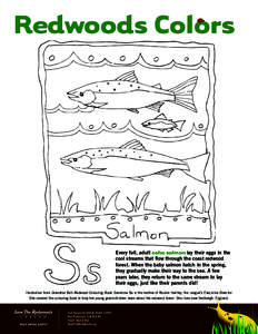 Redwoods Colors  Every fall, adult coho salmon lay their eggs in the cool streams that flow through the coast redwood forest. When the baby salmon hatch in the spring, they gradually make their way to the sea. A few