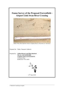 Fauna Survey of the Proposed Forrestfield Airport Link Swan River Crossing  Rakali (Water Rat) footprints found at Claughton Reserve, Bayswater (S. Cherriman) Prepared for: Public Transport Authority Prepared by: Gillian