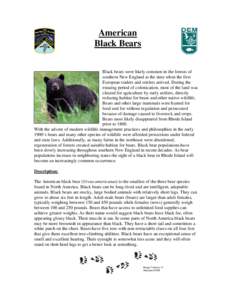 RI DEM/Fish and Wildlife- American Black Bears in Rhode Island