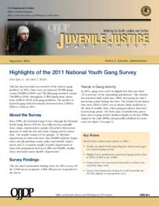 Highlights of the 2011 National Youth Gang Survey