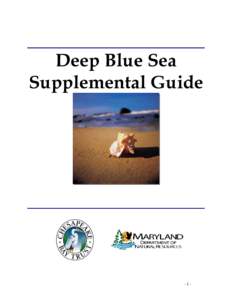 Deep Blue Sea Supplemental Guide -1-  The materials in this kit were funded by a generous grant #11660 from the