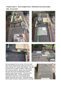 Progress report 3  Henry Vaughan Grave - Restoration and access project Date: 03 June 2014