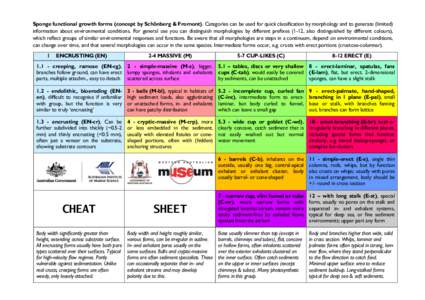 Sponge functional growth forms (concept by Schönberg & Fromont). Categories can be used for quick classification by morphology and to generate (limited) information about environmental conditions. For general use you ca