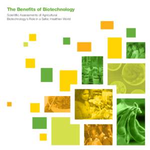 The Benefits of Biotechnology Scientific Assessments of Agricultural Biotechnology’s Role in a Safer, Healthier World Crops improved through agricultural biotechnology have been grown