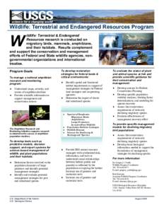Terrestrial, Freshwater, & Marine Ecosystems Program