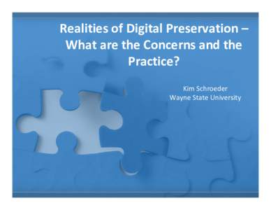 Realities of Digital Preservation – What are the Concerns and the  Practice? Kim Schroeder Wayne State University