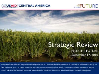 Strategic Review FEED THE FUTURE December 17, 2010 This presentation represents the preliminary strategic direction of a multi-year, whole-of-government, U.S. strategy to address food security in a Feed the Future countr