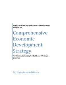 Comprehensive Economic Development Strategy