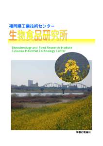 福岡県工業技術センター  Biotechnology and Food Research Institute Fukuoka Industrial Technology Center  早春の筑後川