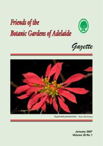 Friends of the Botanic Gardens of Adelaide Gazette  Euphorbia pulcherrima