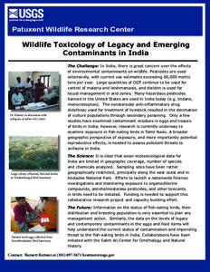 Patuxent Wildlife Research Center  Wildlife Toxicology of Legacy and Emerging Contaminants in India  Dr. Rattner in discussion with