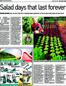 56 GARDENING  MARCH 18, THE SUNDAY TIMES Salad days that last forever Caroline Donald picks up some tips from a leading organic gardener on how to grow tasty leaves all year round