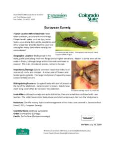 Department of Bioagricultural Sciences and Pest Management Fort Collins, CO[removed]European Earwig Typical Location When Observed: Most