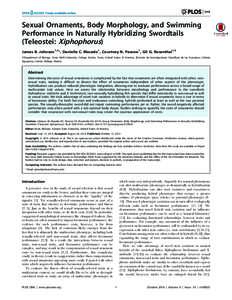 Sexual Ornaments, Body Morphology, and Swimming Performance in Naturally Hybridizing Swordtails (Teleostei: Xiphophorus) James B. Johnson1,2*, Danielle C. Macedo1, Courtney N. Passow1, Gil G. Rosenthal1,2 1 Department of