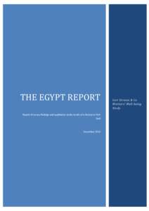 THE EGYPT REPORT Report of survey findings and qualitative study results of a factory in Port Said December 2013