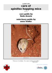 Hopping mouse / House mouse / Spinifex / Old World rats and mice / Mammals of Australia / Spinifex Hopping Mouse