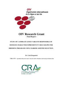 OIV Research Grant – Dr. Carlo Bergamini