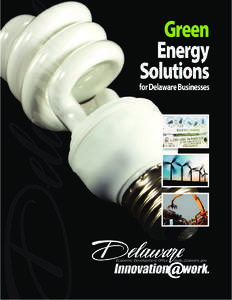 Delaware Energy An$wers for Business Program Incentive Type: Grant Program www.delaware-energy.com/energy_an$wers_program_business.htm Contact information: Kevin D. Yingling [removed]