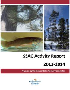 Microsoft Word - SSAC Annual Activity Report[removed]Sept 25.docx