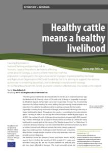 ECONOMY > GEORGIA  Healthy cattle means a healthy livelihood Causing big losses to