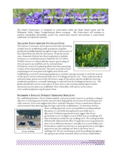 Festuca / Shore Lark / Lark / Botany / Biology / Eurasia / Castilleja levisecta / The Nature Conservancy / Castilleja