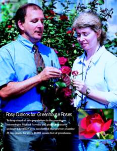 PEGGY GREB (K9618-1)  PEGGY GREB (K9621-1) Rosy Outlook for Greenhouse Roses To keep ahead of mite populations in the greenhouse,