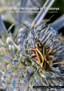 Llista dels Heteròpters de Catalunya (Insecta, Hemiptera, Heteroptera).