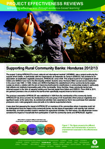 Supporting Rural Community Banks: Honduras - Effectiveness Review - 2 Pager